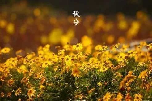 秋分的小知识有什么,今日秋分告诉孩子这些小知识