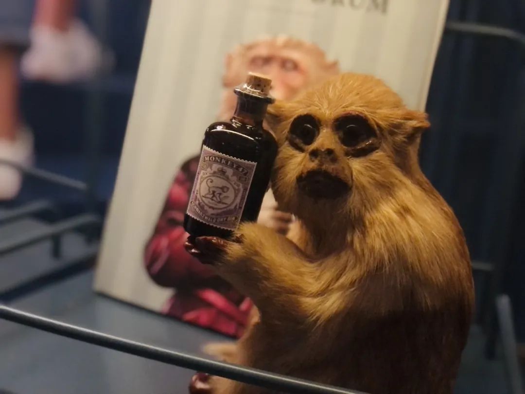 所有的酒都接受“外带”|这里是可以逛的酒吧，也是可以玩的零售店