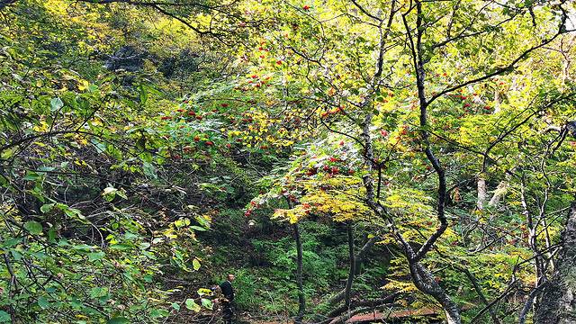涞水野三坡旅游攻略,涞水白草畔自然风景区野三坡
