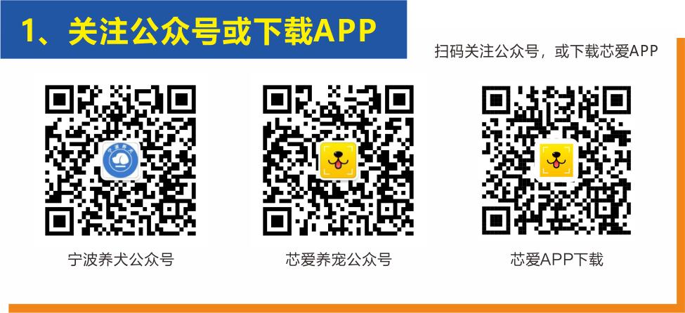 不办狗证也要被行政处罚吗,象山没有狗证归哪个部门处罚