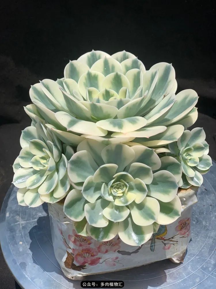 浠庝簯鍗楄繃鏉ュ箍涓滅殑澶氳倝,閬囪澶氳倝鎰熸仼鐢熷懡涓墍鏈夌殑鐩歌瘑