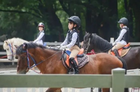 简单的体教融合方案,体教融合怎么操作