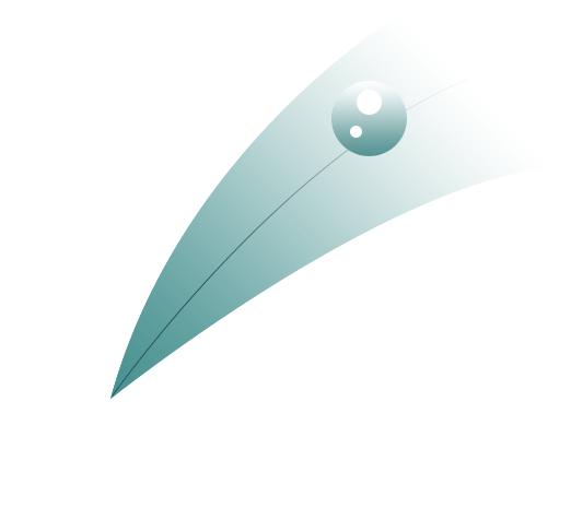 虹桥品汇现场直播进博好物,虹桥品汇直播基地