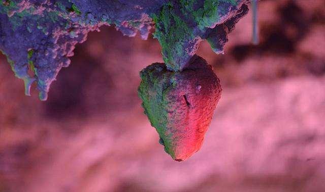 武都旅游景点大全,武都旅游线路