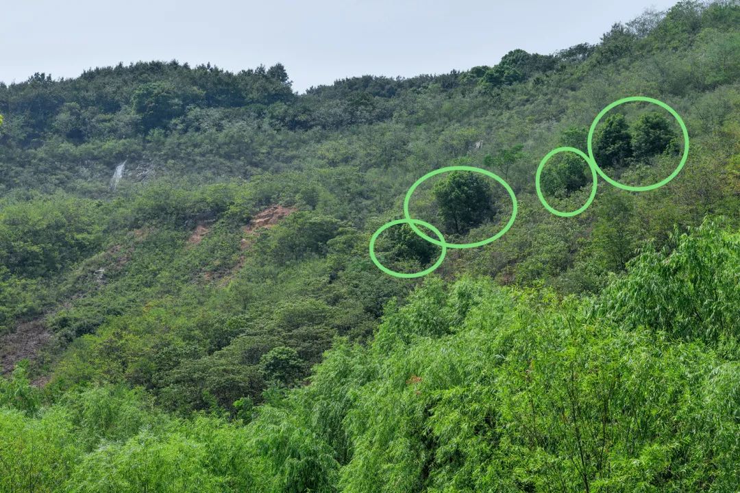 苏州人家的舒适生活,苏州百姓的幸福生活