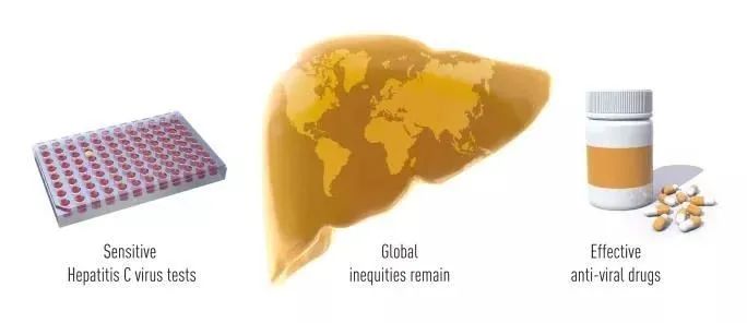 肝炎病毒如何突破人类免疫系统,目前有丙型肝炎疫苗吗