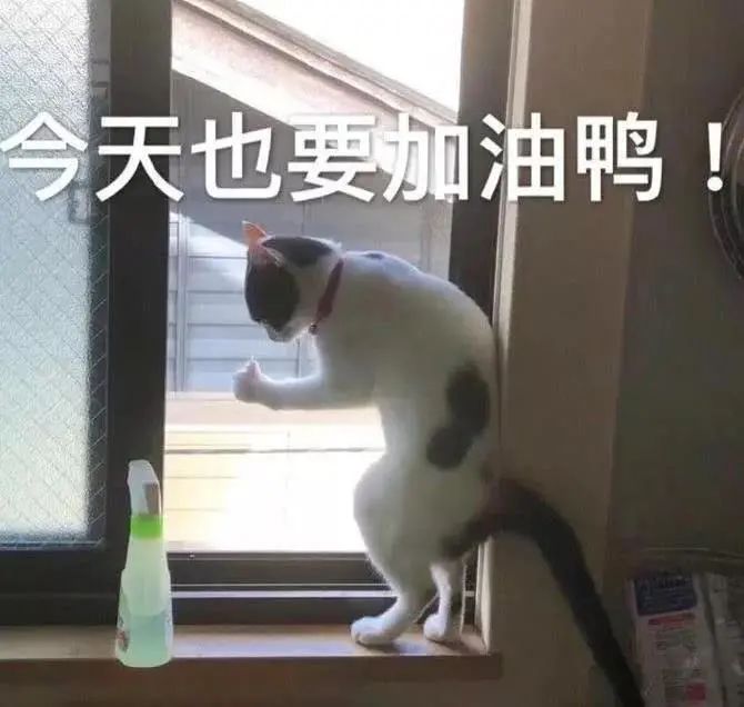 移植3天的胚胎几天能测出来怀孕,胚胎移植后还来月经正常吗