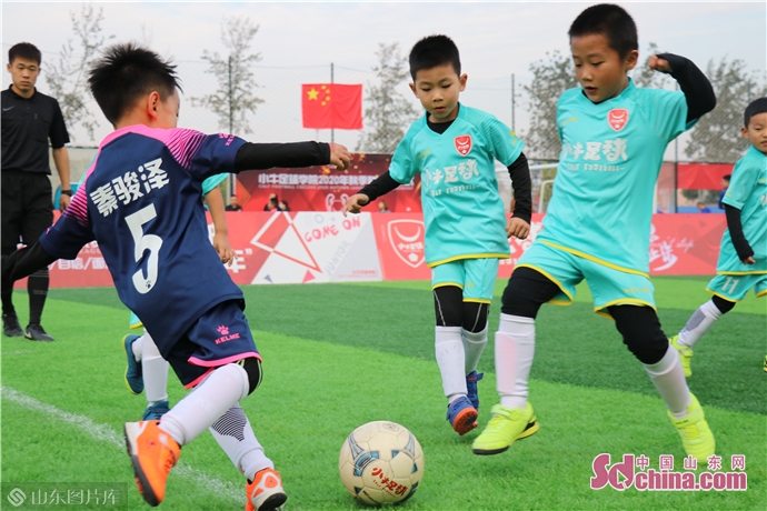 小牛足球最新比赛,小牛足球联赛