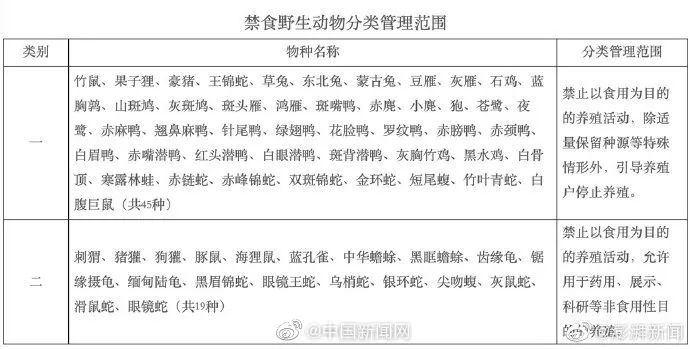 四川新闻关注,高职扩招中央新闻