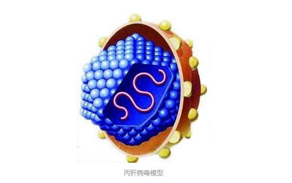 丙肝诺奖是什么,丙肝病毒的知识