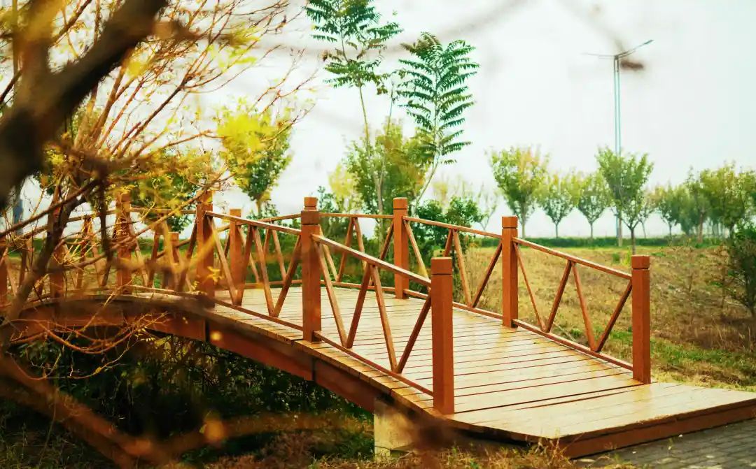 秋光如画，让我们一起“点亮”阎良的诗意秋凉~