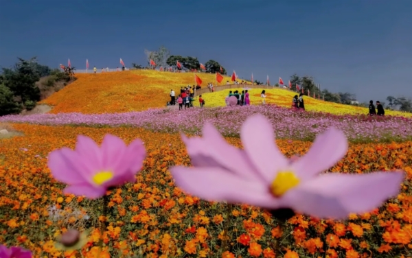 秋天的秦皇岛有多美？摄影家用镜头告诉你