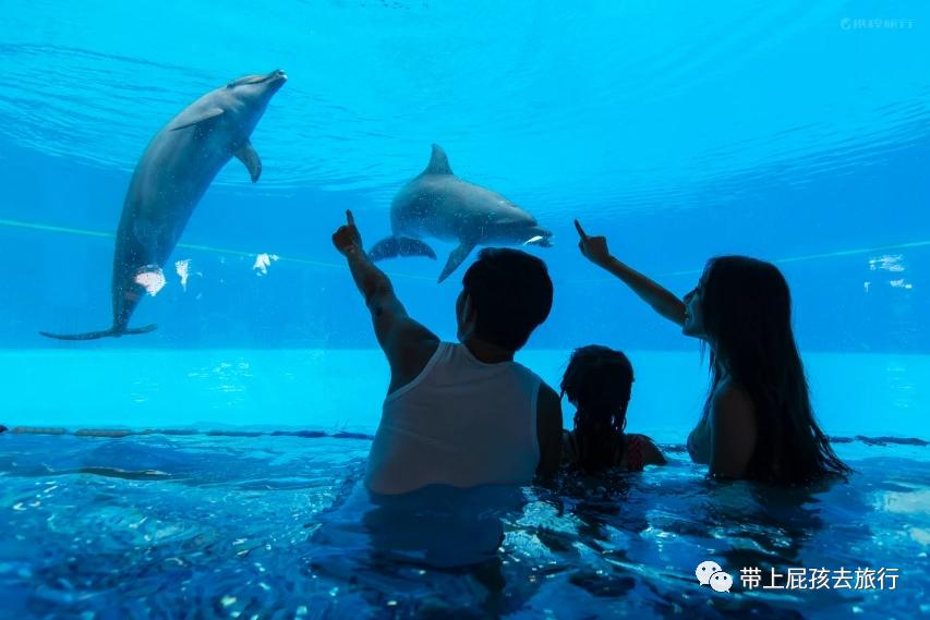 去珠海长隆海洋世界住哪个酒店好,长隆有必要住里面的酒店吗