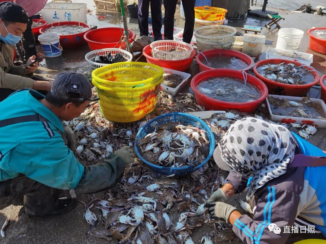 螃蟹5元一斤,日照海鲜螃蟹多少钱