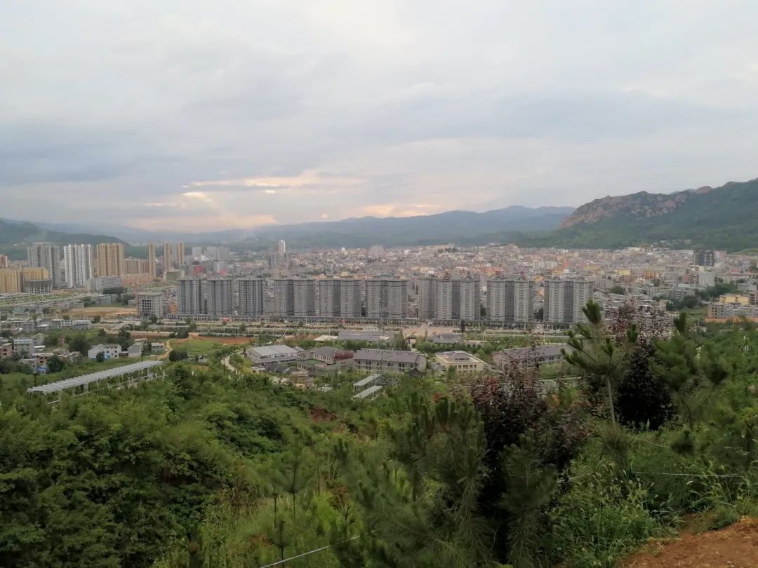 李正善作品,李正善书法欣赏