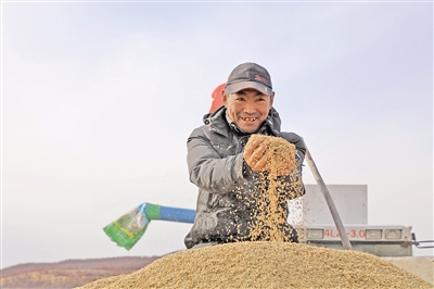 扎兰屯市现代农业 (谱绘农业农村发展新蓝图)