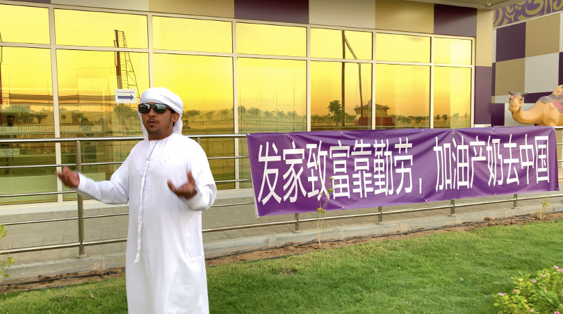 为了双11甘愿加班,为了双十一的加班加点