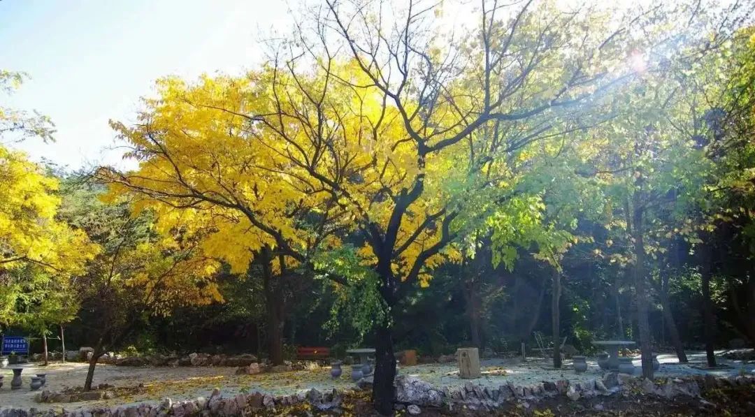 赏秋小众景点推荐,川西赏秋旅游景点