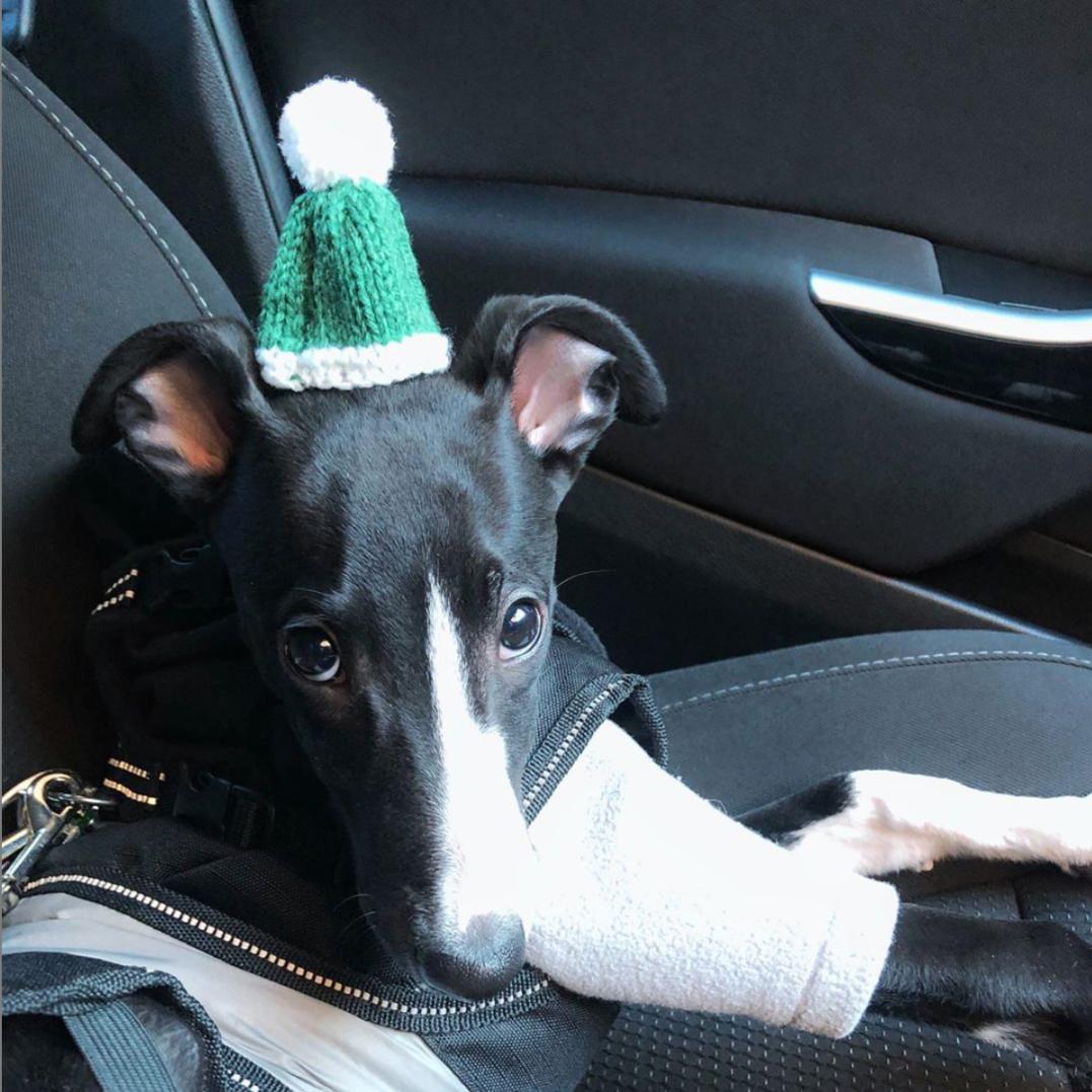 每年冬天，这群人为什么要给果汁瓶戴上毛线小帽？