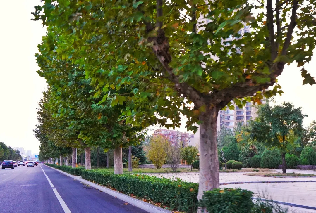 描绘乡村美丽新画卷,描绘中国美丽新画卷