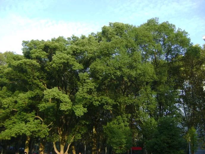 李佳琦赞不绝口的全能乳膏，一年卖出600万瓶，秋冬有它，皮肤再也不干燥