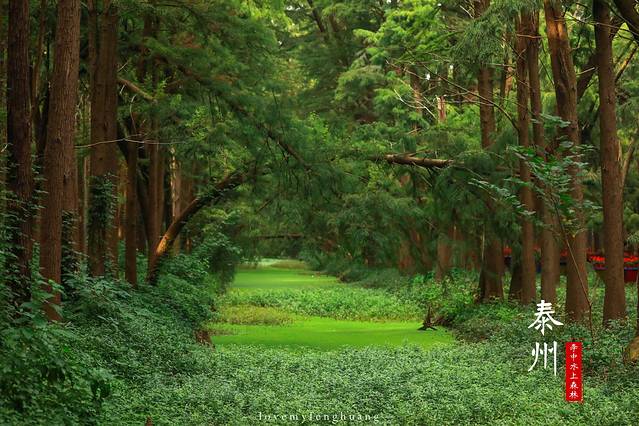 泰州水城有什么好玩,水城泰州