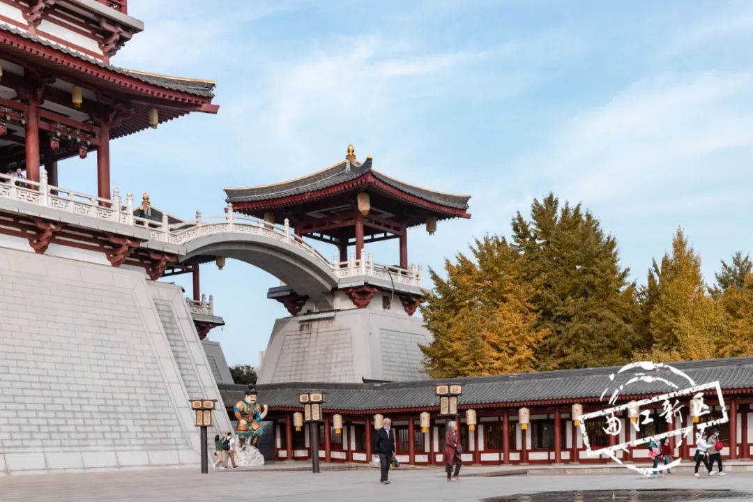 曲江秋天风景,曲江的秋色