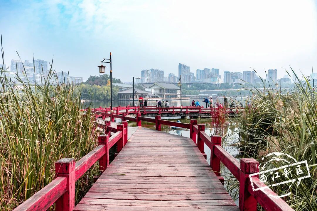 曲江秋天风景,曲江的秋色