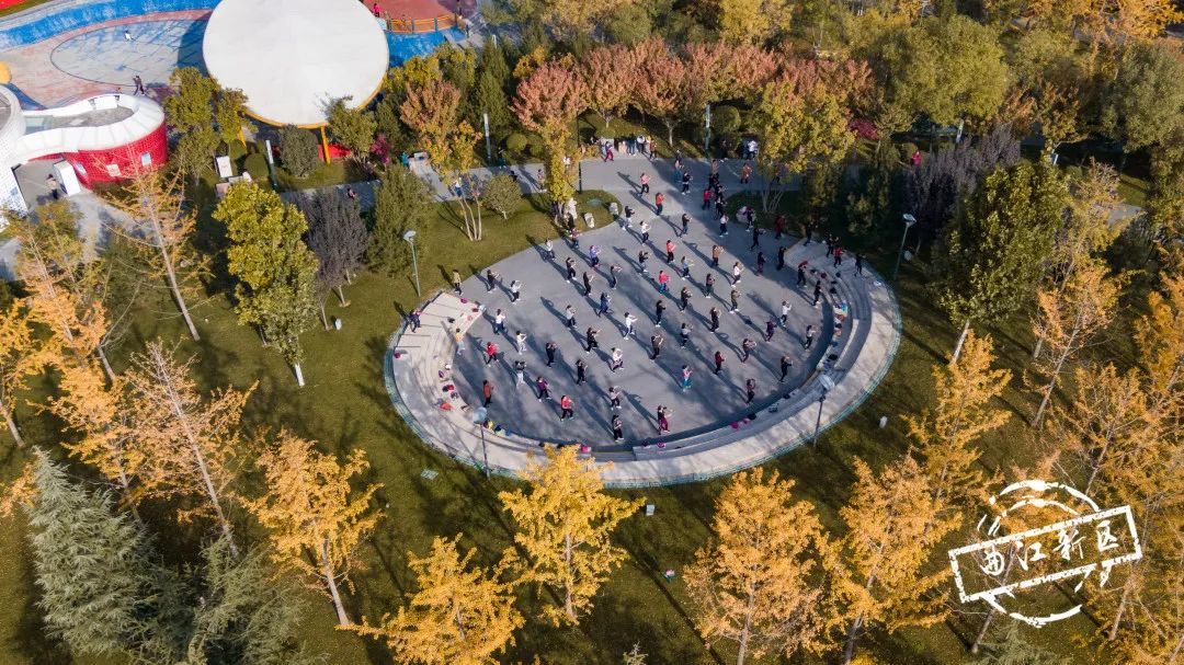 曲江秋天风景,曲江的秋色