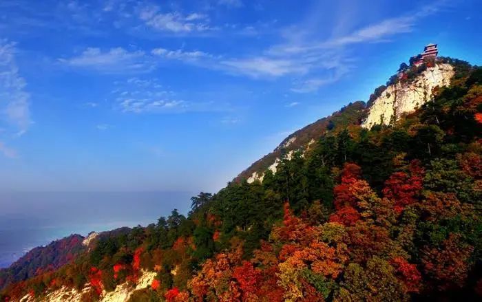 曲江秋天风景,曲江的秋色