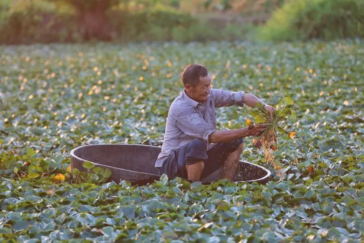 浙江有个湖州市吗,浙江是不是有一个地方叫湖州市