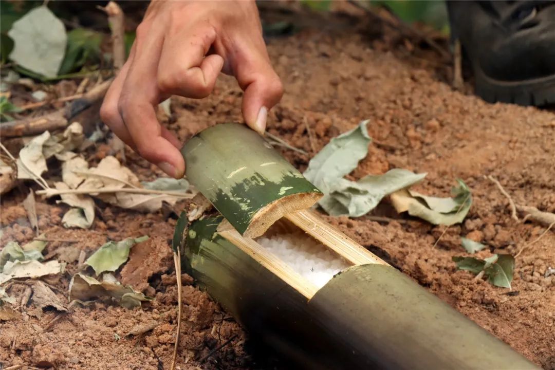 新兵在部队危险吗,新兵野外生存训练