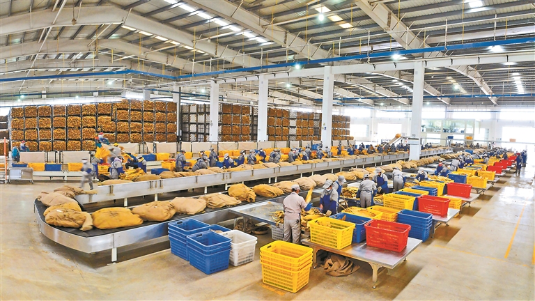 涓诲姩鎷呭綋浣滀负鍕囦簬鏀诲潥鍏嬮毦,涓诲姩鎷呭綋浣滀负鍏ㄥ姏鏀诲潥鍏嬮毦