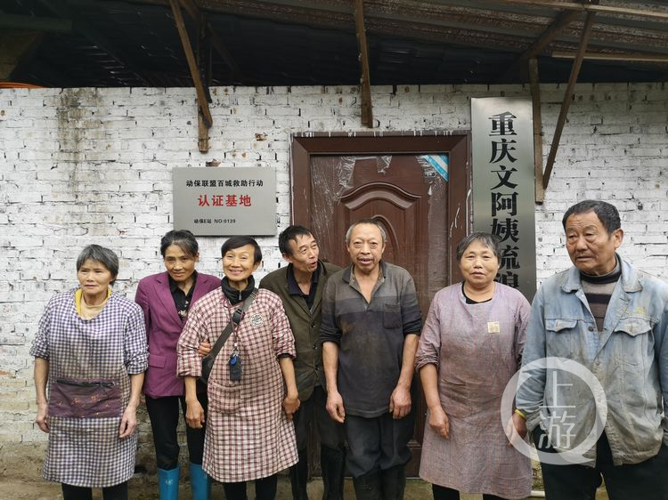 68岁老人收养1300只小动物,68岁老奶奶收养1300只流浪动物