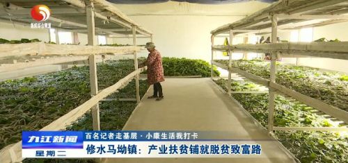 修水马坳,江西省修水县马坳