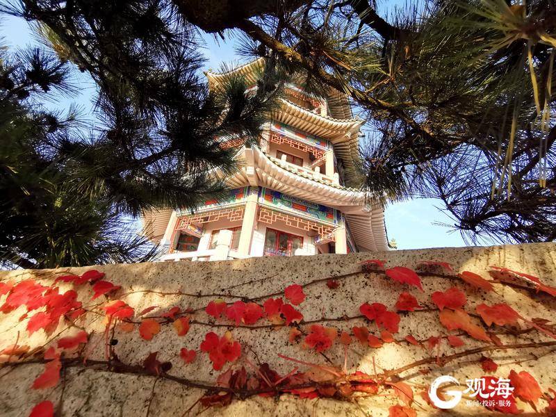 渔山岛网红打卡地,网红打卡地山海观