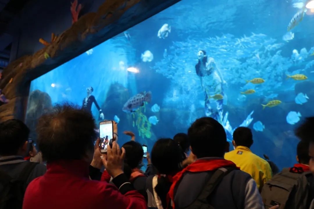 双十一特惠门票,双十一惊喜夜门票