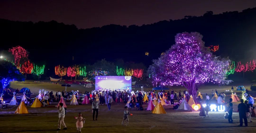 南宁抖in奇妙夜,音乐之旅live演唱会南宁