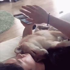 网络女主播被阴婚,被阴婚的女主播