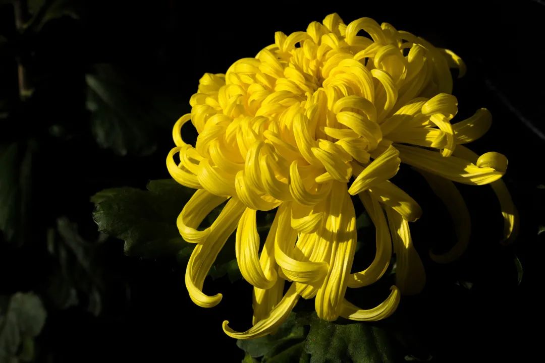 南京一日游攻略机场出发,超低价机票哪里买