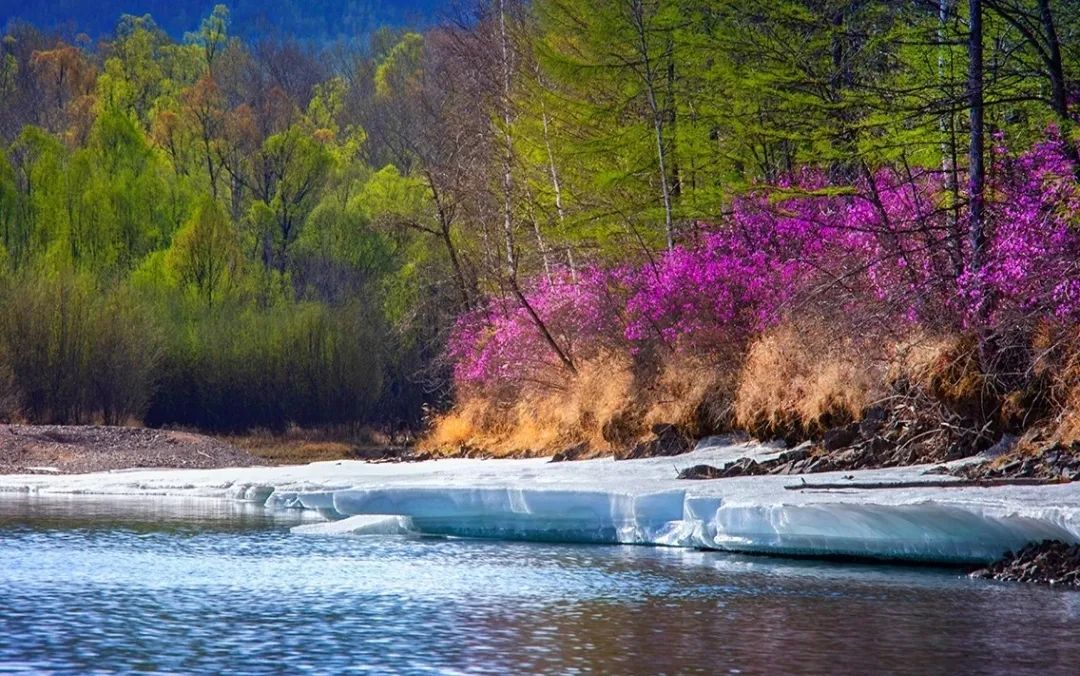 加格达奇映山红滑雪场今年开的吗,黑龙江加格达奇市映山红滑雪场
