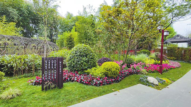 成都市两拆一增是什么,成都二拆一增中的城市美学