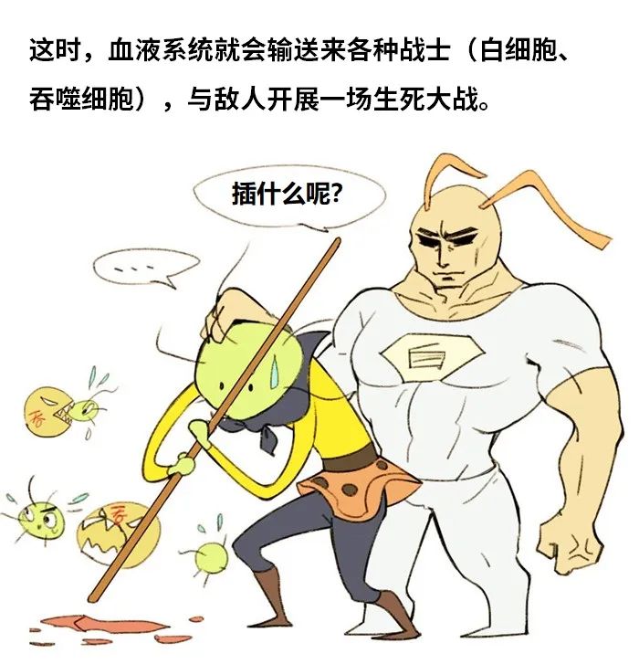 鲁威渔医号丨肺“肿了”怎么办？