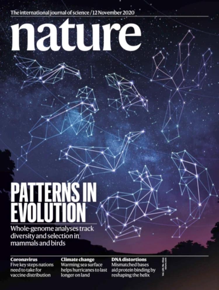 登上nature封面什么水平,登上nature封面