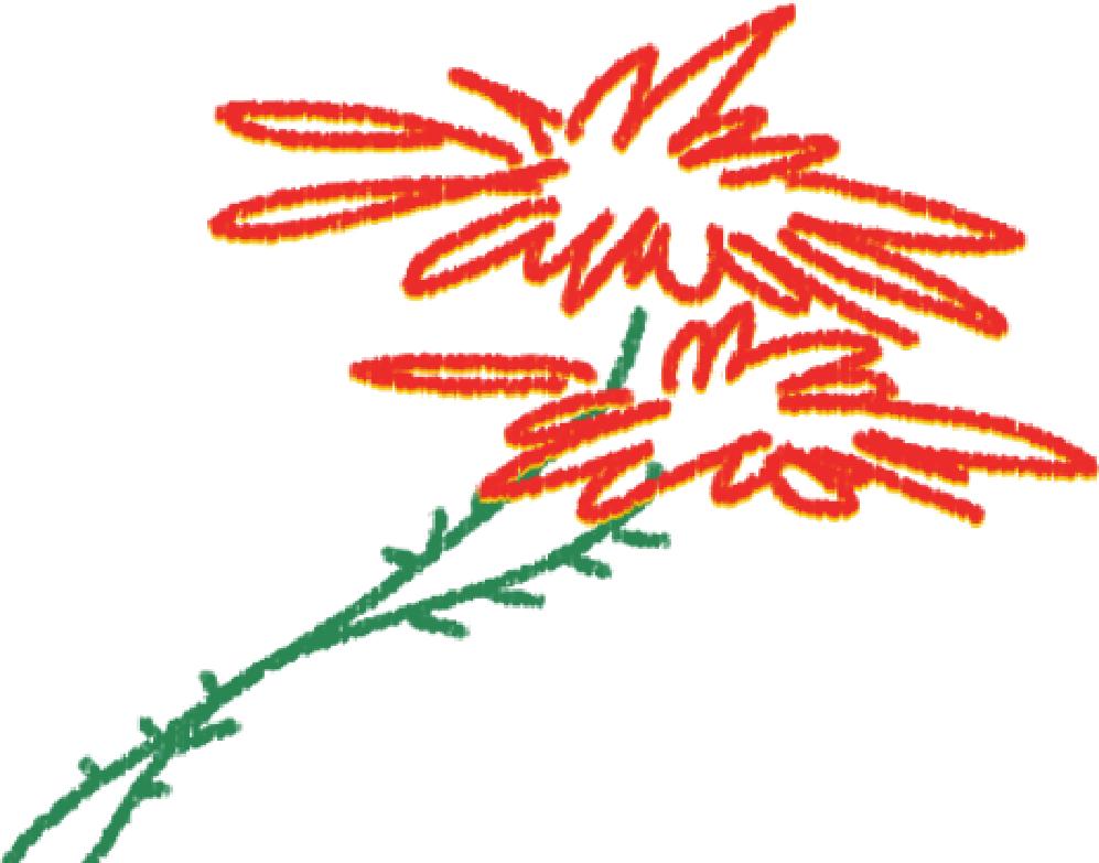 膨友你好|2020都快过完了，我还是在怀旧？