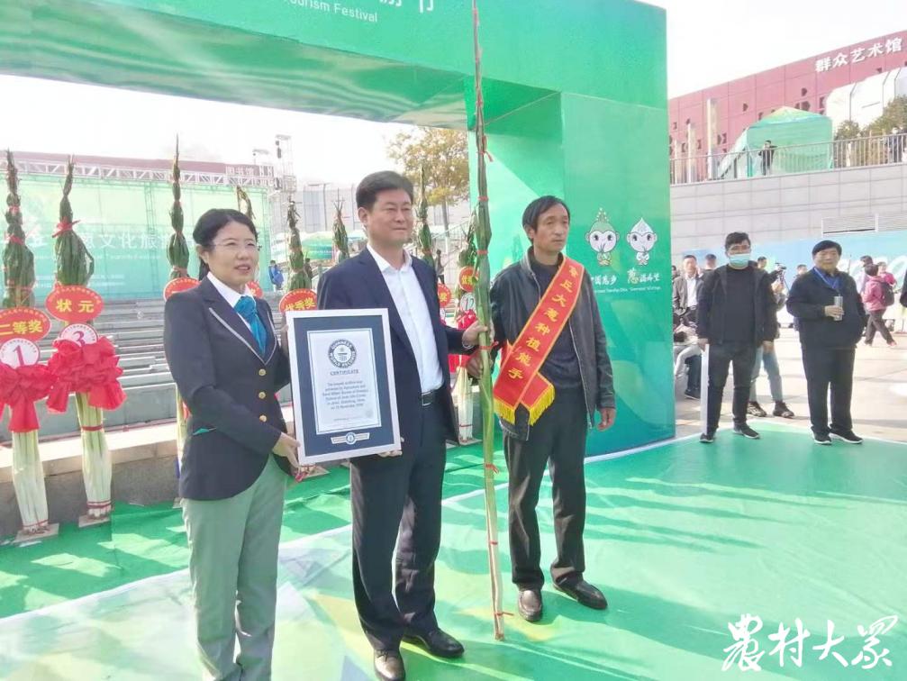 山东章丘2.586米大葱破世界纪录,章丘大葱破吉尼斯世界纪录