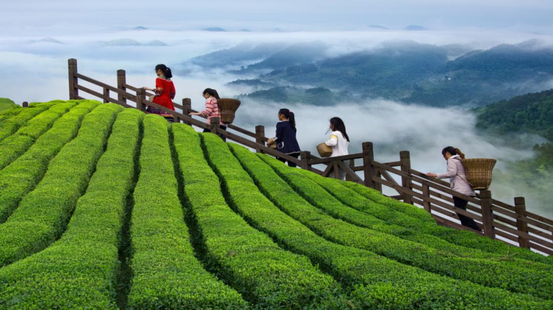 最美乡村游推荐湖北,10条线路村游湖北