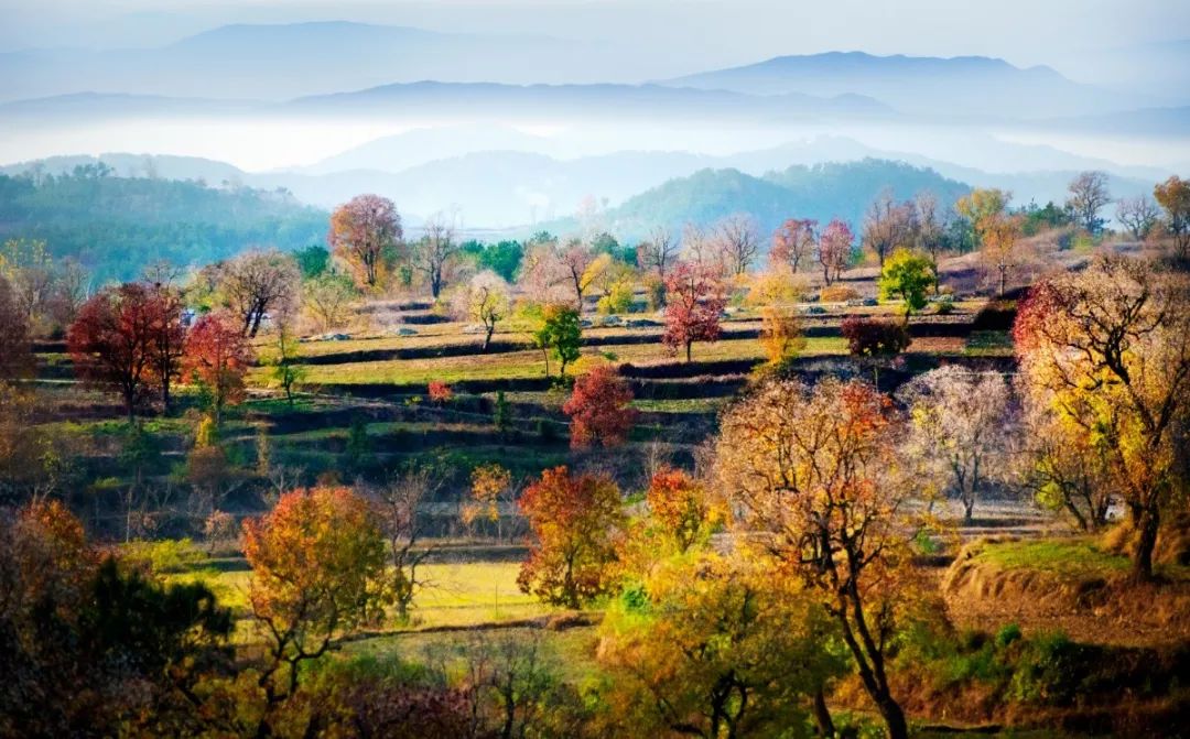 最美乡村游推荐湖北,300条全国乡村旅游精品线路