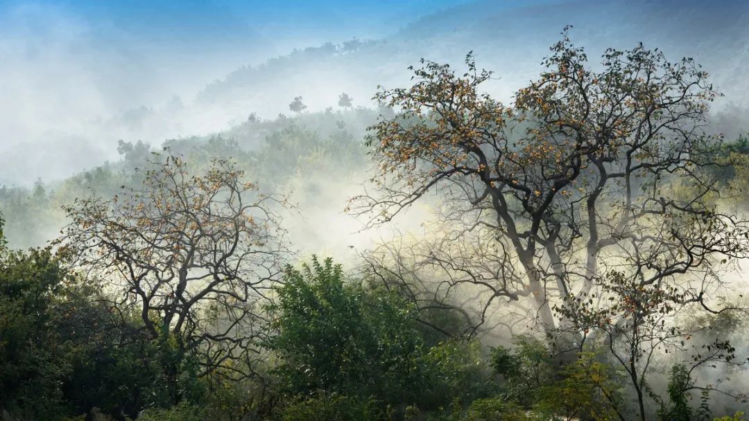 最美乡村游推荐湖北,300条全国乡村旅游精品线路