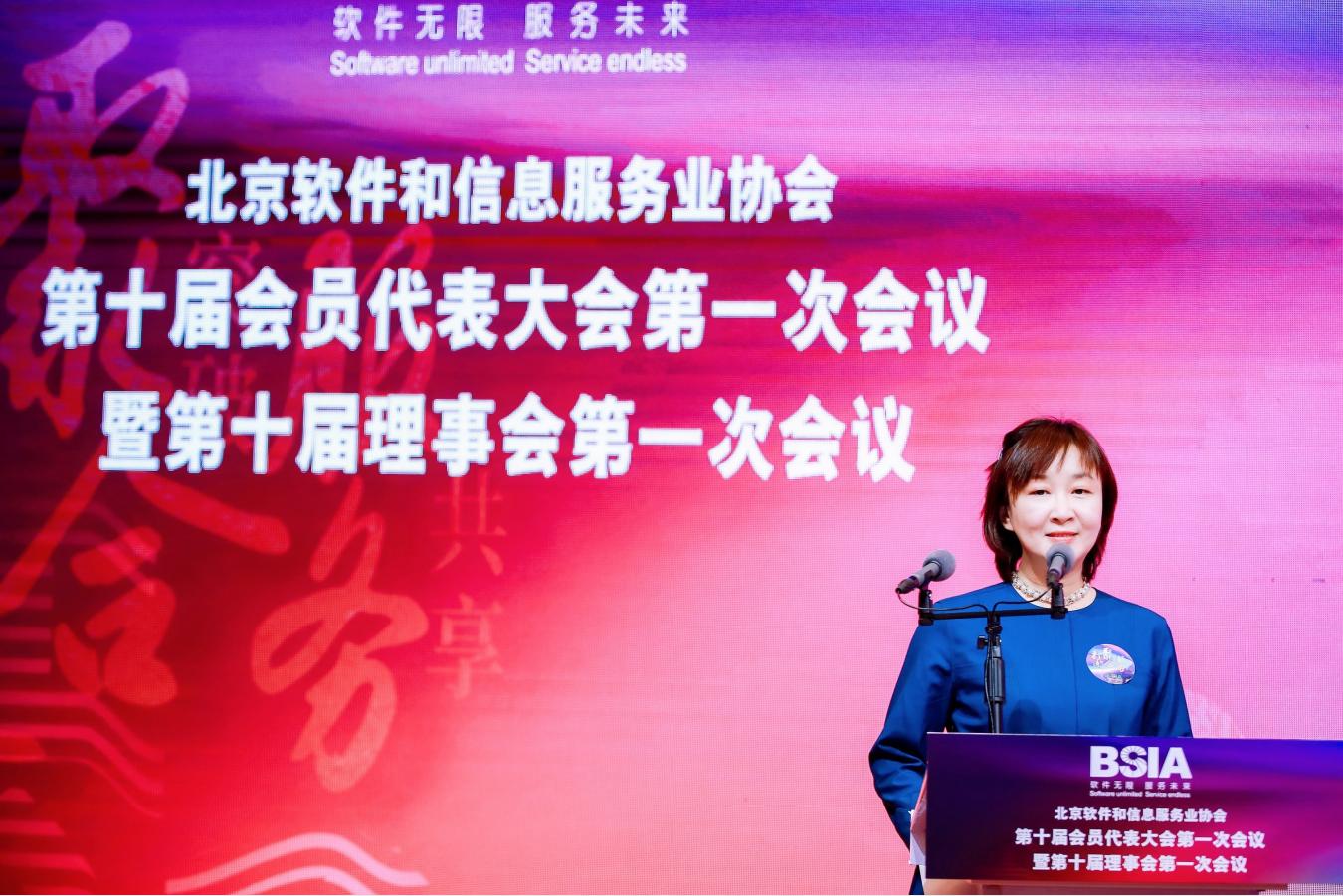 北京软件大会,北京软件企业协会